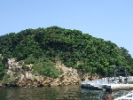 猿島
